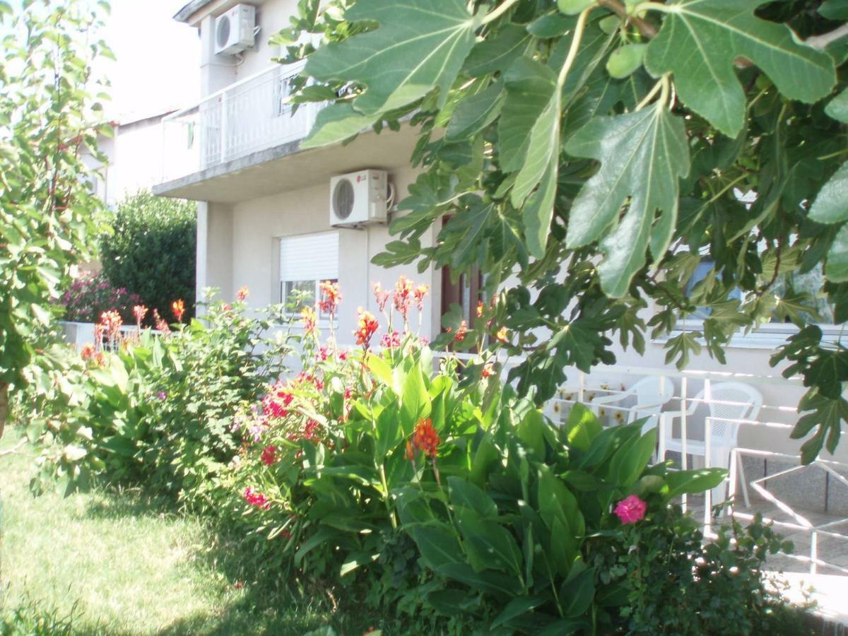 Apartment Antonija Senj  Dış mekan fotoğraf