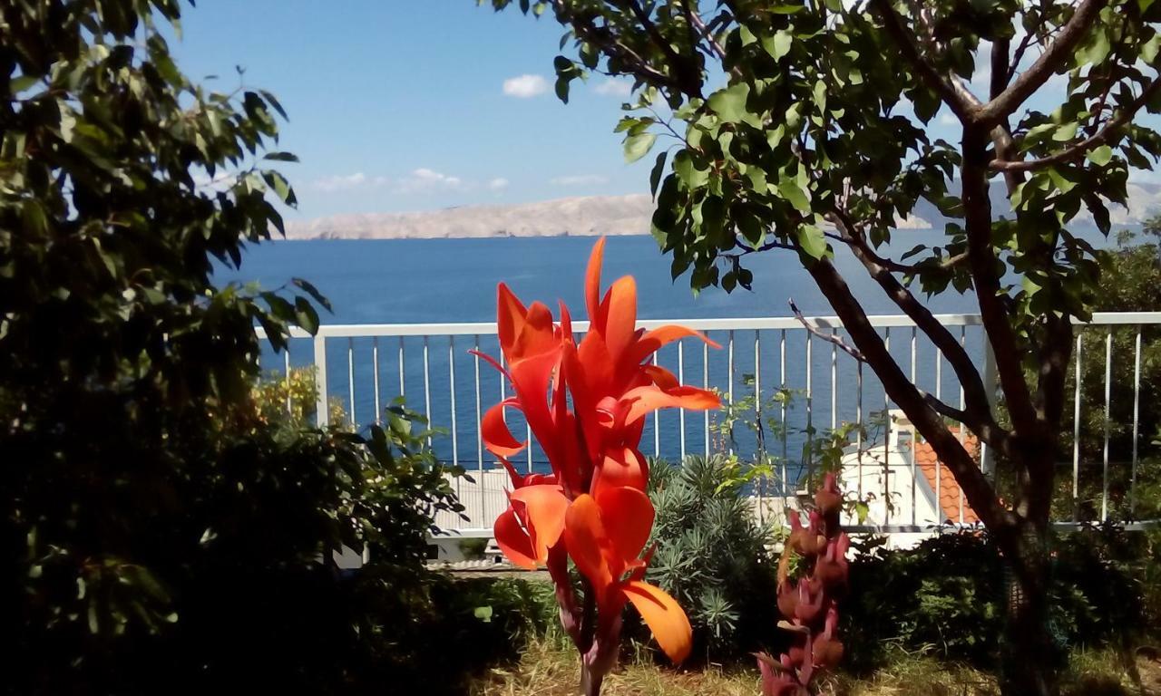 Apartment Antonija Senj  Dış mekan fotoğraf